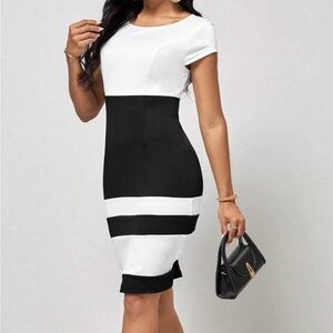 Elegant Black and White Women's Dress